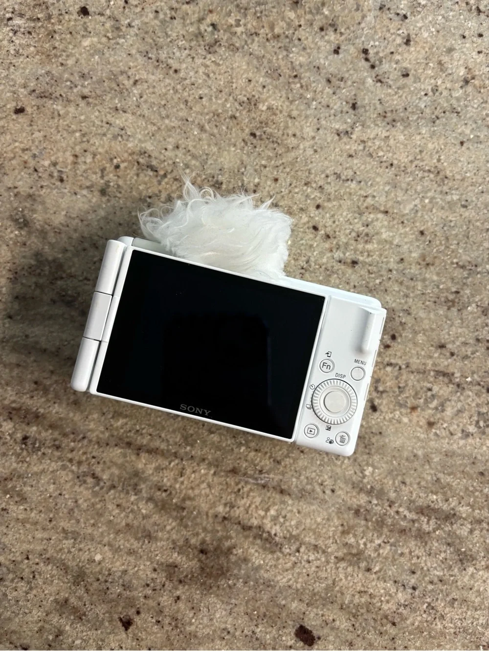 Sony zv1f Digital Camera - Lightweight Photo & Video